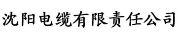 麻豆日记APP安装电缆厂logo